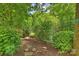 Lush backyard featuring a treehouse, perfect for Gathering fun and outdoor activities at 2011 Fromby Ct, Charlotte, NC 28211