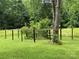 Green grass backyard features wooden posts, trees, and lush vegetation at 2350 Grubb Ferry Rd, Salisbury, NC 28144