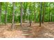 Secluded path with stone steps leading through a densely wooded area at 4028 Spindrift Cove Dr # 59 And 60, Denver, NC 28037