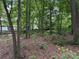 Backyard featuring mature trees and natural undergrowth, creating a private and wooded setting at 4402 Poxon Ln, Monroe, NC 28110