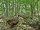 Backyard creek flowing through a lush, green wooded area at 443 Hillcrest Dr, Harrisburg, NC 28075