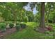 The expansive, lush backyard with mature trees and manicured landscaping at 5211 Londonderry Rd, Charlotte, NC 28210