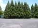 View of a neat row of tall, green trees at 833 21St Ne Ave # 833, Hickory, NC 28301
