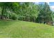Expansive backyard with lush greenery and mature trees, offering a serene and private outdoor space at 10043 Elsenham Ln, Charlotte, NC 28269
