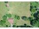 Aerial view of home and barn on large property with grassy fields and many trees at 157 Blackberry Ln, Taylorsville, NC 28681