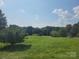 Expansive green yard with mature trees offers privacy and plenty of space for outdoor activities at 275 Hiddenite Church Rd, Hiddenite, NC 28636