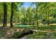 Picturesque pond surrounded by mature trees with a small dock and creek flowing out of it at 5425 Creek Run Ct, Kings Mountain, NC 28086