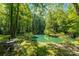 Picturesque pond surrounded by mature trees with a table and chairs set up for relaxing at 5425 Creek Run Ct, Kings Mountain, NC 28086