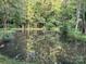 Still pond reflects the surrounding trees, showcasing nature's beauty and tranquility at 5425 Creek Run Ct, Kings Mountain, NC 28086