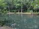 Tranquil pond surrounded by lush greenery, perfect for a serene, natural setting at 5425 Creek Run Ct, Kings Mountain, NC 28086