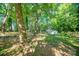 Lush backyard with mature trees and a large grassy area at 10925 Lassen Ct, Charlotte, NC 28214