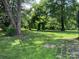 Spacious, tree-filled backyard offers plenty of space for outdoor activities at 715 Sunridge Dr, Lincolnton, NC 28092