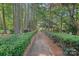 Charming stone walkway lined with lush green bushes leading to a picturesque home at 116 Ivy Hollow Ln, Mooresville, NC 28117