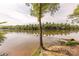 Scenic river view showcasing a mature tree on the bank's edge, with serene water stretching to the horizon at 1178 Arges River Dr, Fort Mill, SC 29715