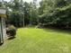 Large backyard with play set, shed, lawn and perimeter of trees at 200 Breslin St, Wadesboro, NC 28170