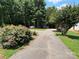 Long, paved driveway leading to the home, surrounded by mature trees and lush greenery at 8122 Hutchison Ln, Vale, NC 28168
