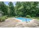 Backyard pool featuring ladders and a concrete deck surrounded by lush greenery at 114 Larkfield Dr, Waxhaw, NC 28173
