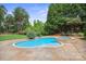 A backyard with an in-ground pool and attached hot tub is surrounded by dense trees at 20635 Queensdale Dr, Cornelius, NC 28031