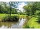 A backyard pond reflecting the sky and surrounding trees, surrounded by green vegetation at 3659 Vashti Rd, Taylorsville, NC 28681