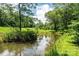 Picturesque pond reflecting the sky and surrounding trees, offering a serene natural view at 3659 Vashti Rd, Taylorsville, NC 28681