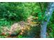 A tranquil stream flows through a lush, green landscape with verdant foliage at 3659 Vashti Rd, Taylorsville, NC 28681