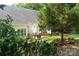 Scenic backyard view with a wooden deck surrounded by lush greenery, cacti, and mature trees, offering privacy at 4605 Sarandon Ct, Charlotte, NC 28215