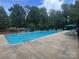 Large outdoor swimming pool with lounge chairs and umbrellas, surrounded by mature trees at 5434 Starflower Dr, Charlotte, NC 28215