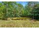 A view of the sunny backyard showcasing lush, mature trees and a small clearing at 6530 Fly A Way Dr, Denver, NC 28037