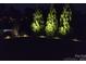 Backyard with professional landscape lighting on lawn and trees for nighttime illumination at 6873 Lakecrest Ct, Denver, NC 28037
