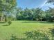 Expansive backyard with lush green grass, mature trees, and a serene outdoor setting at 908 Haddonfield Dr, Fort Mill, SC 29708