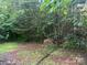 Land with trees and native foliage offers privacy and a natural landscape at 9314 Seymour Ln, Davidson, NC 28036