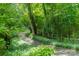 Scenic walking trail surrounded by lush greenery, inviting you to explore the outdoors at 2332 Hemby Pl, Charlotte, NC 28270