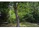 Mature trees and landscaping provide a private retreat in this backyard at 3136 Blueberry Dr, Monroe, NC 28110
