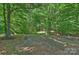 Serene wooded backyard featuring mature trees and a tire swing, creating a peaceful outdoor space at 3284 Millstone Creek Rd, Lancaster, SC 29720