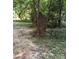 Rustic wooded area with unique Sasquatch metal art and shady tree coverage at 339 Mayflower Ave, Cramerton, NC 28032