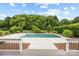 Backyard pool with white concrete patio and manicured bushes offers a cool and relaxing retreat at 3706 Song Sparrow Dr, Matthews, NC 28104