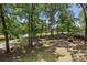 A backyard filled with lush trees and a long sloping hill at 613 Davis St, Lancaster, SC 29720
