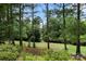 Landscaped backyard featuring mature trees and golf course view at 765 Cherry Hills Pl, Rock Hill, SC 29730