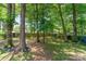 Secluded backyard featuring a wooden fence and many mature trees at 8701 Appaloosa Way Ln, Charlotte, NC 28216