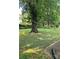 Wide open backyard with mature shade trees and a concrete patio at 309 Fannie Cir, Charlotte, NC 28205