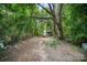View of the heavily wooded backyard area showing debris and heavy overgrowth at 638 E Black St, Rock Hill, SC 29730