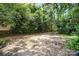View of the heavily wooded backyard area with a cleared dirt section at 638 E Black St, Rock Hill, SC 29730