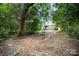 View of the heavily wooded backyard area with the back of the house in the distance at 638 E Black St, Rock Hill, SC 29730