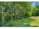 The backyard features mature trees and green grass at 9330 Carneros Creek Rd, Charlotte, NC 28214