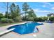 Inviting in-ground pool with diving board surrounded by lush landscaping at 11335 Wescott Hill Dr, Huntersville, NC 28078