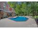 Backyard pool with patio, an outdoor lounge area, and well-maintained landscaping at 1317 Longleaf Ct, Matthews, NC 28104