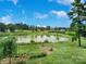 Scenic view of a community pond surrounded by lush greenery and trees under a blue sky at 14746 Greenpoint Ln, Huntersville, NC 28078