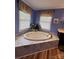 Bathroom featuring a tub and multiple windows with blinds at 250 Wesley Amaker Rd, York, SC 29745
