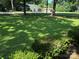 Lush front lawn with mature trees, creating a serene and inviting atmosphere at 5722 Oak Dr, Charlotte, NC 28216