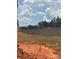 Graded lot ready for landscaping next to the side of a new home under construction with a privacy wall on the property line at 7008 Jerimoth Dr, Charlotte, NC 28215